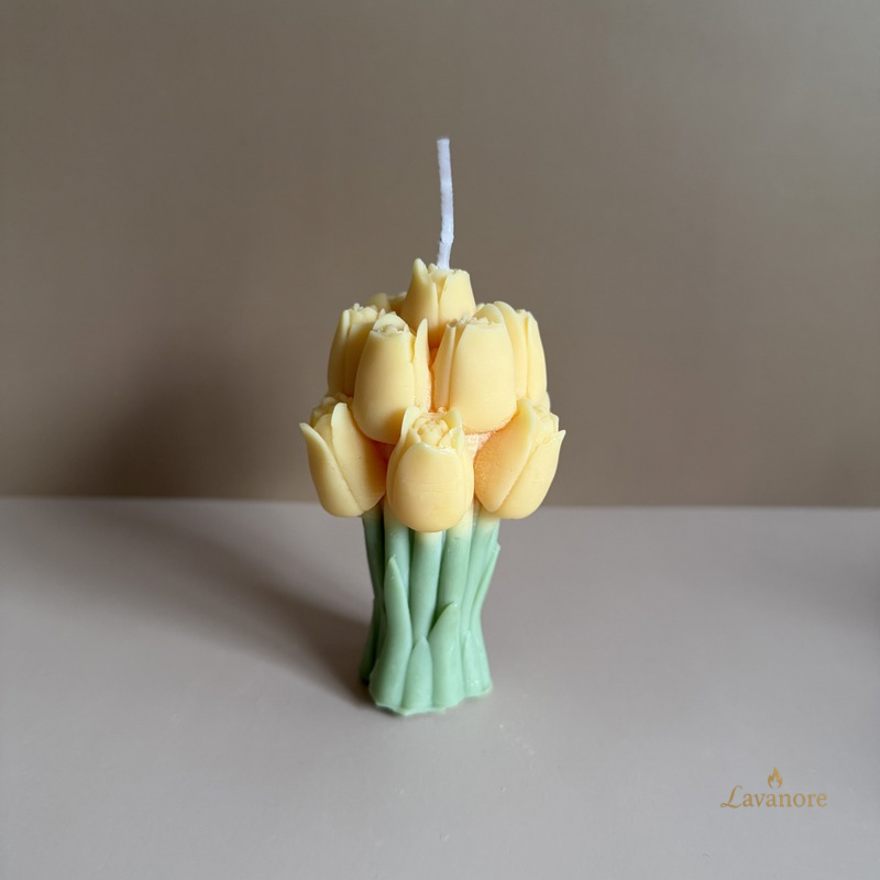 Blooming Tulips